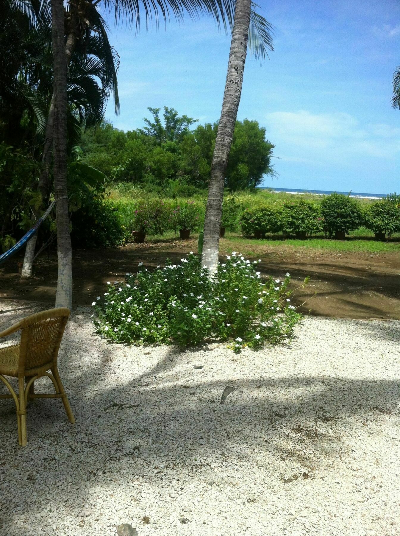 Hotel Laguna Del Cocodrilo تاماريندو المظهر الخارجي الصورة